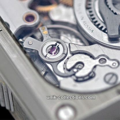 Konstantin Chaykin Cinema "Eadweard Muybridge"
