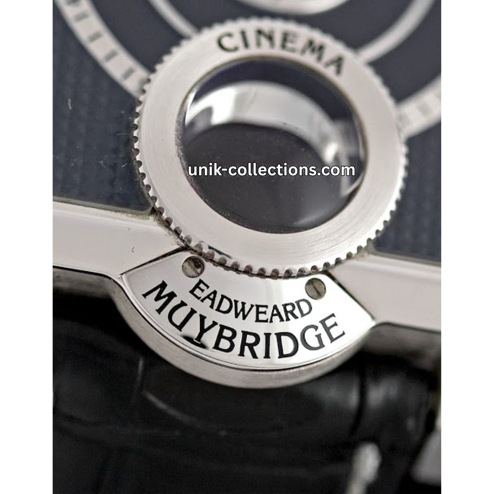 Konstantin Chaykin Cinema "Eadweard Muybridge"